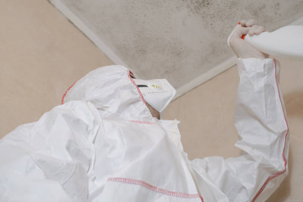 Best Mold Cleaning Services  in Valle Vista, AZ
