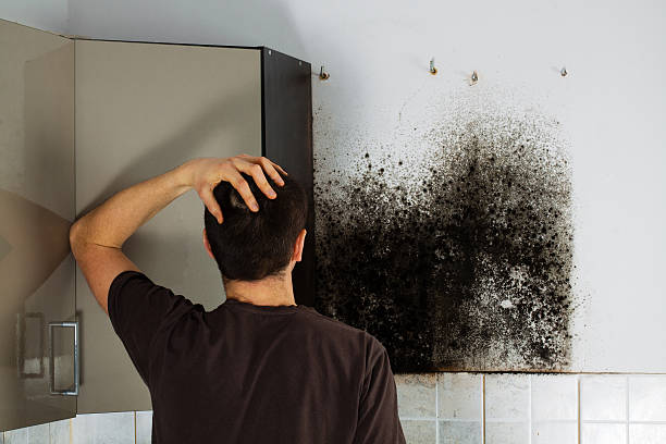 Best Residential Mold Removal  in Valle Vista, AZ